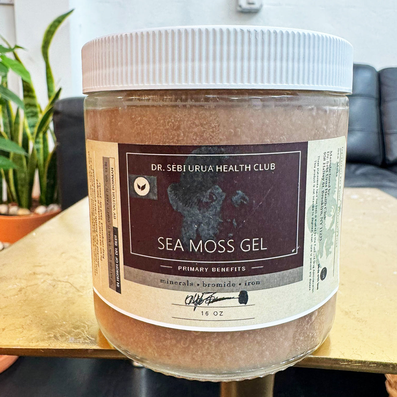 Sea Moss Gel